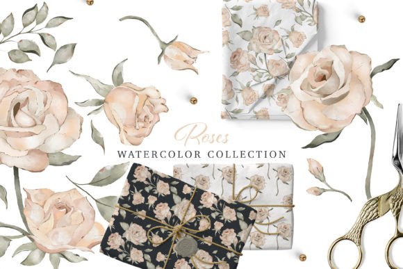 Download Watercolor Modern Roses Collection - Collection Collection